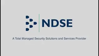 NDSE - Managed Security Services Provider