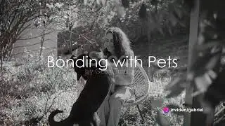 House sitting for Digital Nomads