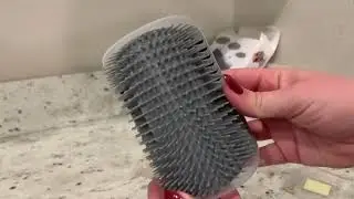 Kingtree Cat Self Groomer   Why My Cats LOVE Them
