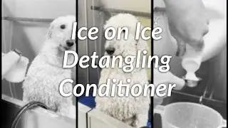 Ice on Ice Detangler and Conditioner with captions