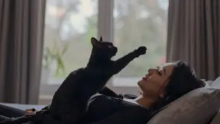 The Shadow that Brought the Light How a Stray Black Cat🐈&zwj;⬛😽 Healed My Soul #cat #catlovers #love