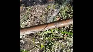 Drip Irrigation Hacks: Quick Fixes for Common Problems