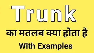Trunk Meaning in Hindi | Trunk ka Matlab kya hota hai | Word Meaning English to Hindi
