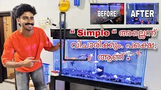 The Simple Secret to Keep Your Aquarium Clean! | Fish Tank | Aquarium Maintenance | Simple Tips💡