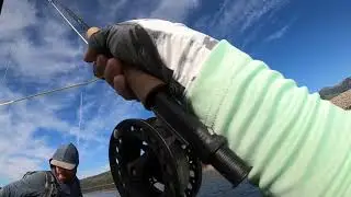 Southern Colorado Fly Fishing - Rainbows on Nymphs and Streamers