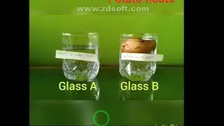 SSC / Properties of natural Resource/ anamolus behavior of water experiments