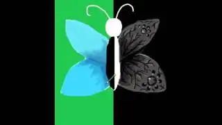 roiworld drawing Bermuda Winter But Terfly of deatH aNd lifE