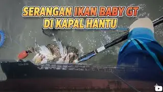 Joran Tegek Dream Fisherman VS Baby GT #fishing 