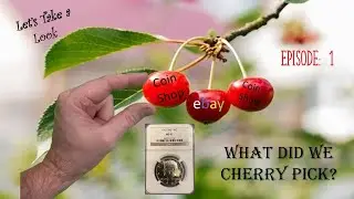 Cherry Picking Coins -- Episode 1 -- What did I find?