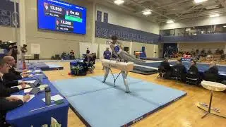 AFA @ USAGs Event Finals- Patrick Hoopes Pommel