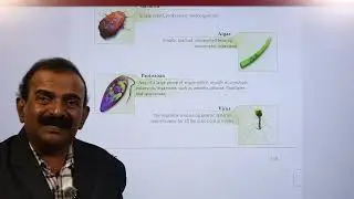 Banala Jaya Raj sir explaining glossary terms of class VIII Nischals integrated biology textbook.