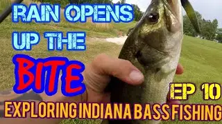 Bass Fishing in the Rain