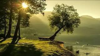 M&uacute;sica Chill: Ambiente Bosque Tranquilo. Enfoque, Relajaci&oacute;n Profunda. Estudio, Trabajo, Sue&ntilde;o