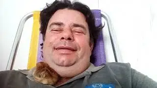 Meu novo mascote uma pintainha.