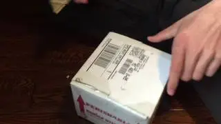 UNBOXING-Nile and savannah monitor
