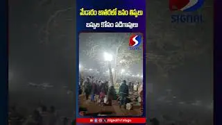 Public Facing Problems At Medaram Jatara 2026 || Congress Govt || #shorts #telugushorts #ytshorts