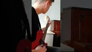 Rogulin - Molly (guitar playthrough)