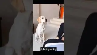 #hhhhhhhhhh