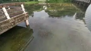 LOWER SELETAR RESERVOIR FISHING PARK SINGAPORE | CYCLING ADVENTURE