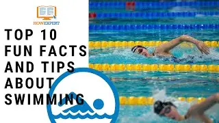 HowExpert Top 10 Fun Facts and Tips about Swimming - HowExpert