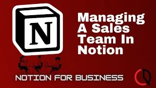 How I Manage My Sales Team In Notion