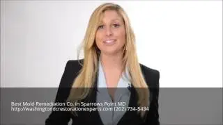 Mold Remediation Sparrows Point MD