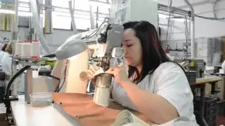 video giunteria