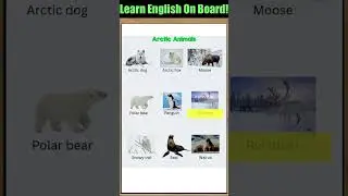 Arctic animal's names! #englishvocabmastery #englishtips #vocabs #englishlanguage #englishvocabulary