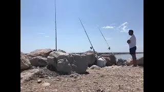 la peche a la dorade touche en LIVE