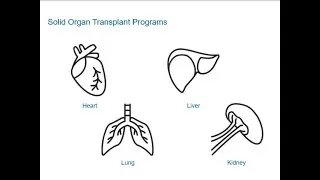 Lifesharing Organ Transplant #organtransplant #lifesharing