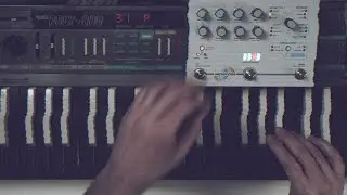 True words. ] Korg Poly-800 & Microcosm [