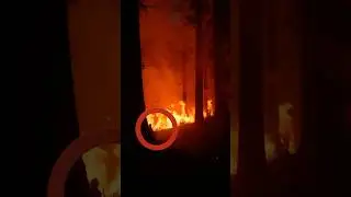 Mysterious Man Captured in Los Angeles Wildfire Footage!