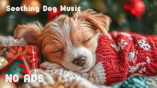 12 HOURS of Dog Calming Music 🐶🎄Dog Relaxation 🎅 Anti Separation Anxiety Relief Music ❄️ No Ads