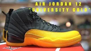 FIRST LOOK NIKE AIR JORDAN 12 &ldquo;UNIVERSITY GOLD&rdquo; IN HAND AND ON FOOT REVIEW