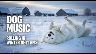Dog Calming Music for Rescue Dogs | Emotional Healing Tones to Build Trust and Deep Rest