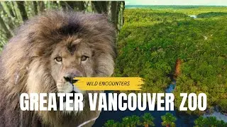 Wild Encounters at Greater Vancouver Zoo! 🦁🐻 Must-See Animal Moments