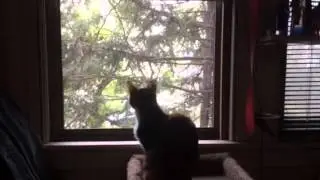 Natasha at the Window