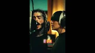 Pain Didn&rsquo;t Finish Me &ndash; Sia x Post Malone | Lyrics Video