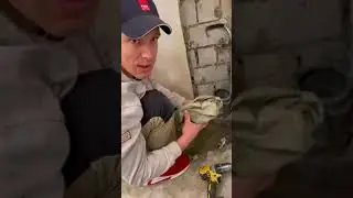 Восстановитель￼ Раструба остендорф￼