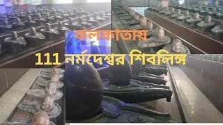 111 Narmadeshwar shivling | Kailash Dham Temple। cossipur#shiv #bholenath #mahadev #shivratri #2025