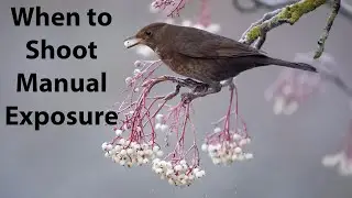 Using manual exposure with a white sky or snow