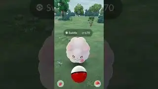 How Many ✨Shiny Swirlix ✨ Did We Get? Pokemon Go Swirlix Spotlight Hour !