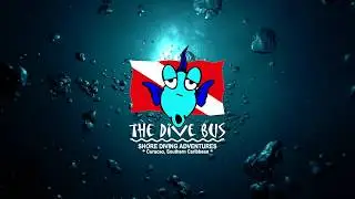 Seriously fun shore diving adventures, The Dive Bus, Curacao - the chilled version ...