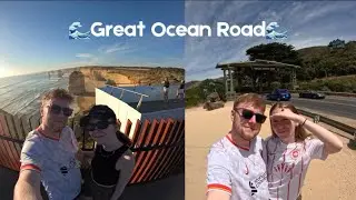 Seeing wild Koalas on the Great Ocean Road!🚙
