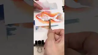 Walkman & Goldfish &mdash; Mixed Media Experiment