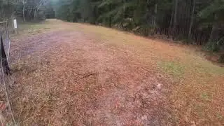 Kuitpo Forest Trail 🌲🏃&zwj;♂️