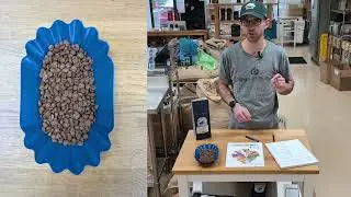 Costa Rica Marigold - Washed Process Medium Roast - Direct Source - 2025 Edition