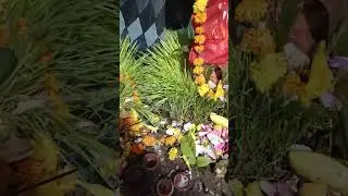 🙏 Nimiya Ke Dar Maiya |  Durga Maa | WhatsApp Status | Bhakti Status #shorts #video #new #navratri 🌺