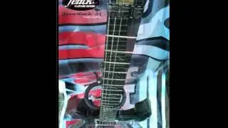 FELICK GUITARS SERIES