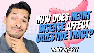 How Does Heart Disease Affect Digestive Tract?